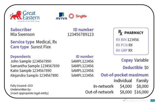 Download Singapore health insurance card Photoshop template